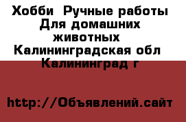 Хобби. Ручные работы Для домашних животных. Калининградская обл.,Калининград г.